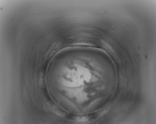 X0000063470169200601271638