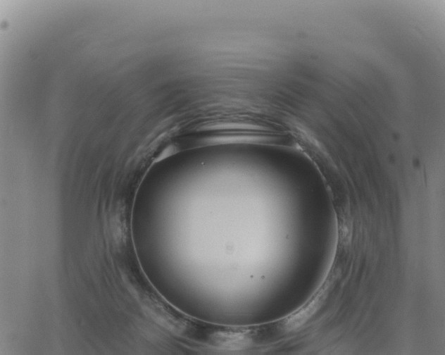 X0000063470170200601271638