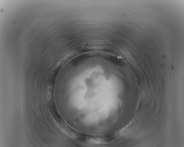 X0000063470171200601271638