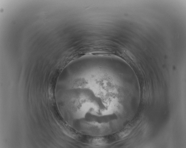 X0000063470173200601271638