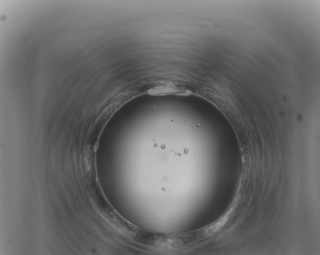 X0000063470174200601271638