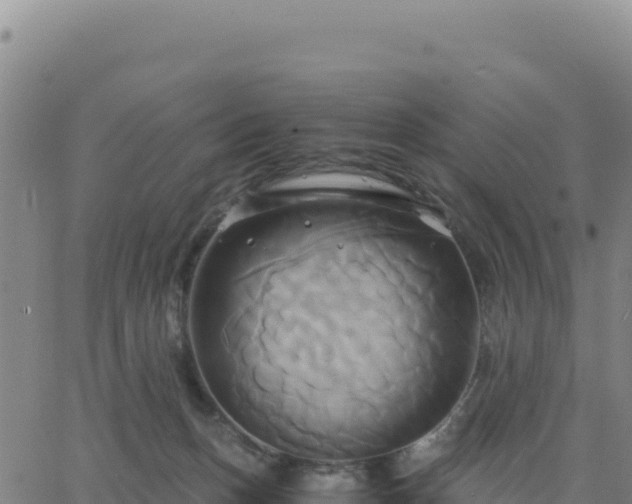 X0000063470175200601271639