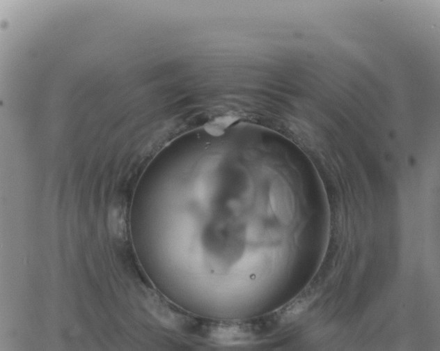 X0000063470177200601271639