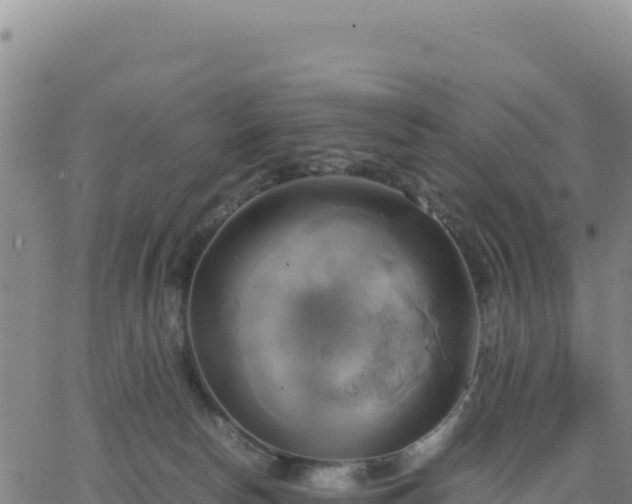 X0000063470178200601271639