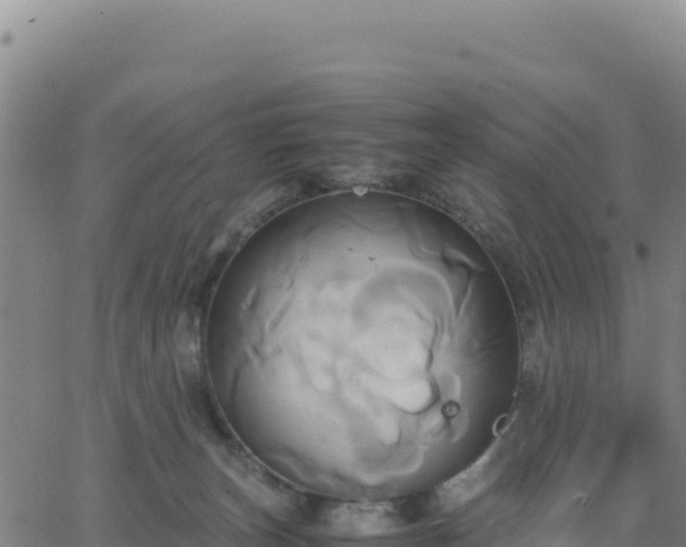 X0000063470179200601271639