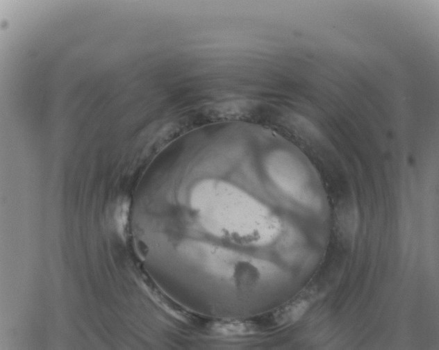 X0000063470181200601271639