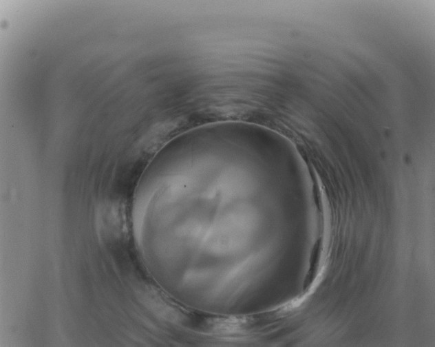 X0000063470182200601271639