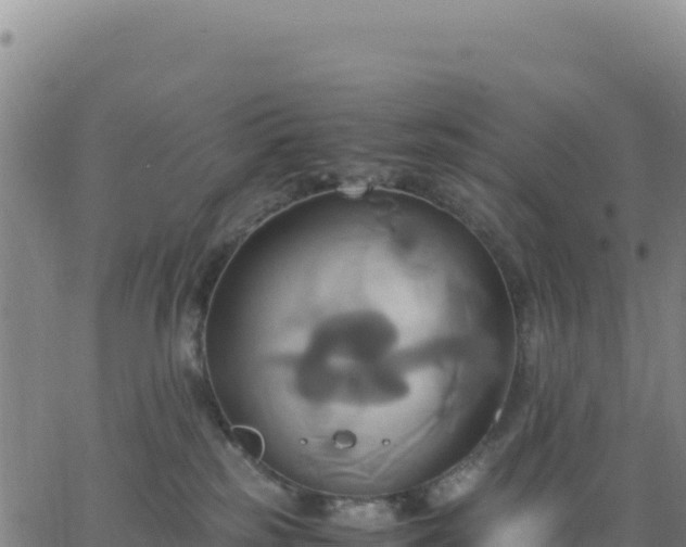 X0000063470185200601271639