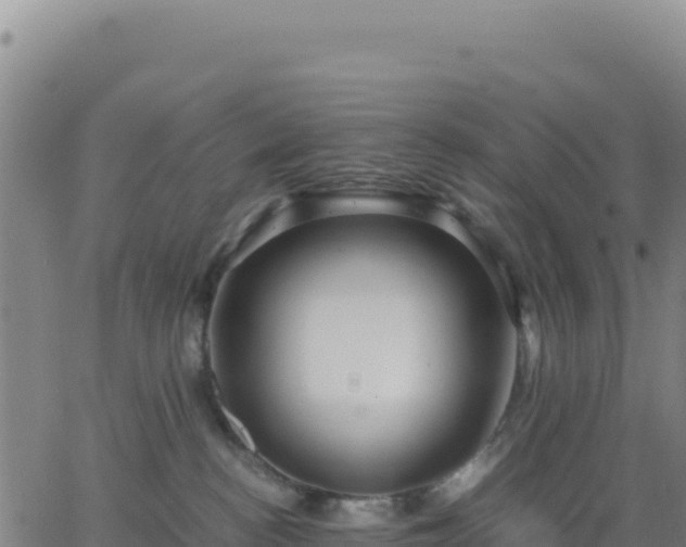 X0000063470188200601271639