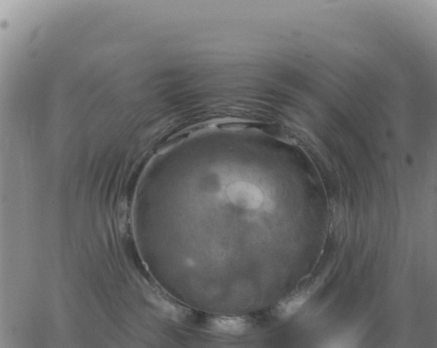 X0000063470189200601271639