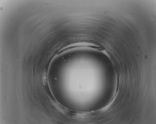 X0000063470190200601271639