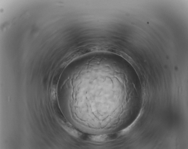 X0000063470191200601271639