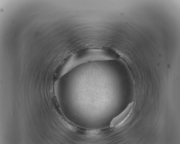 X0000063470192200601271639