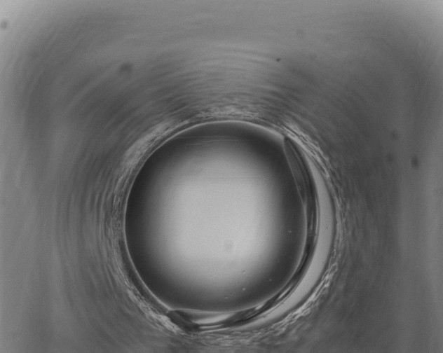 X0000063470193200601271638