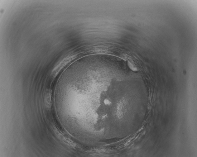 X0000063470194200601271638