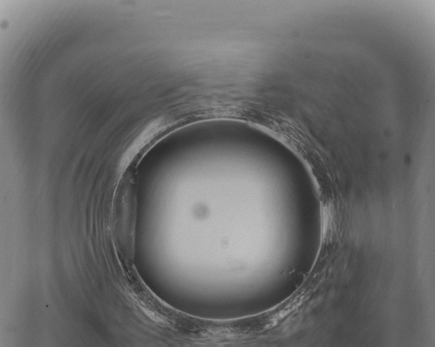 X0000063470195200601271638