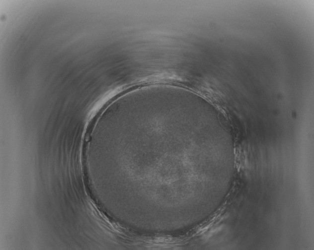 X0000063470196200601271638