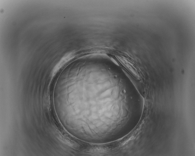 X0000063470198200601271638