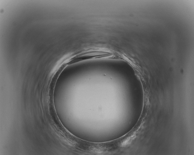 X0000063470199200601271638