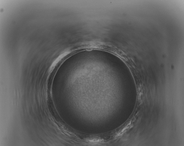 X0000063470200200601271638