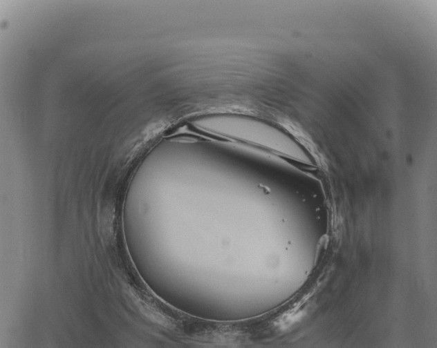 X0000063470201200601271638