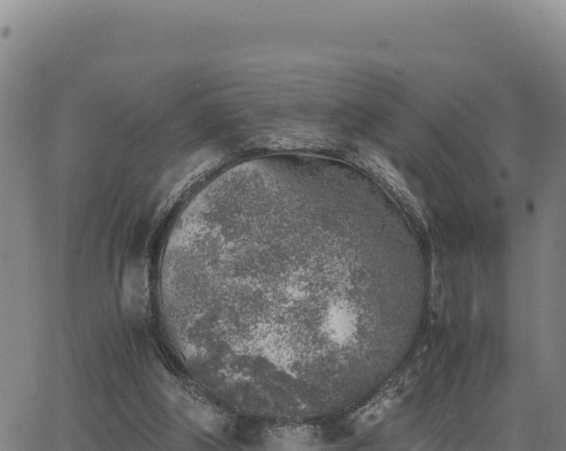 X0000063470202200601271638