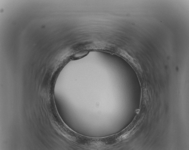 X0000063470203200601271638