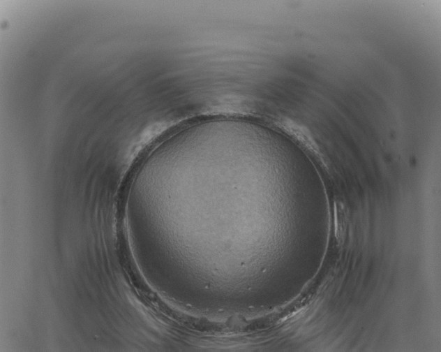 X0000063470204200601271638