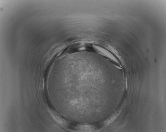 X0000063470205200601271638