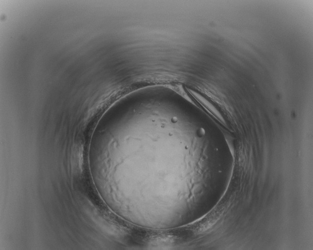 X0000063470206200601271638