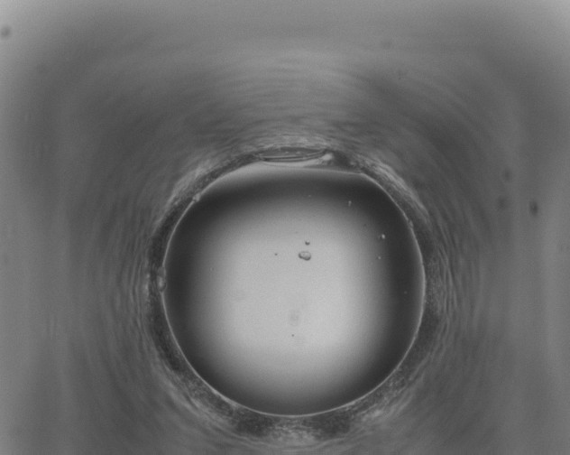 X0000063470207200601271638