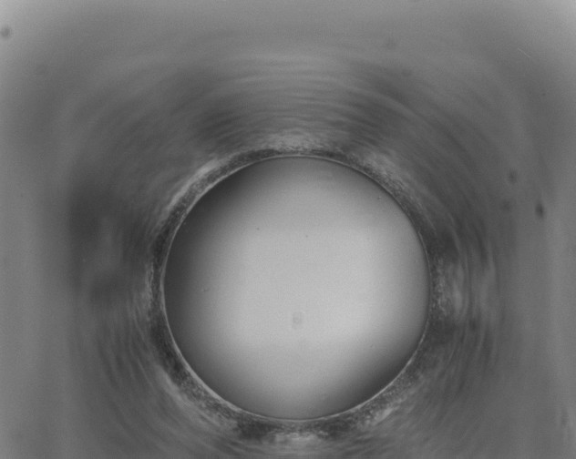 X0000063470208200601271638