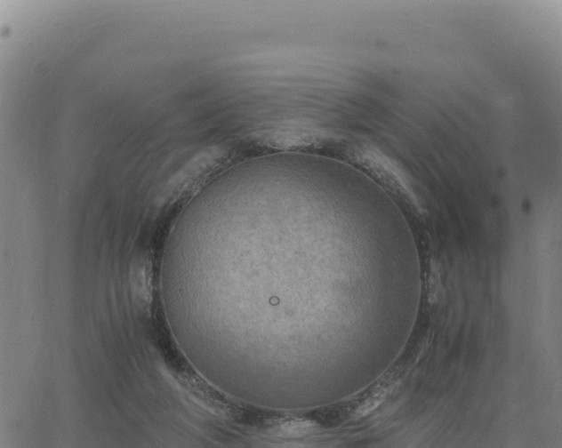 X0000063470210200601271638