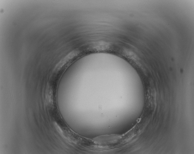 X0000063470212200601271638