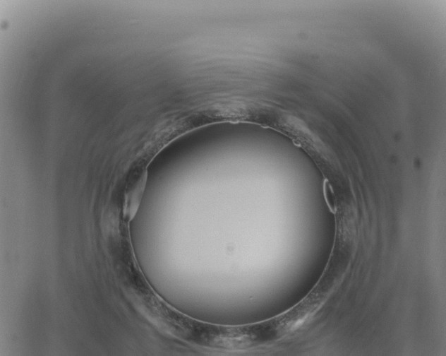 X0000063470213200601271638