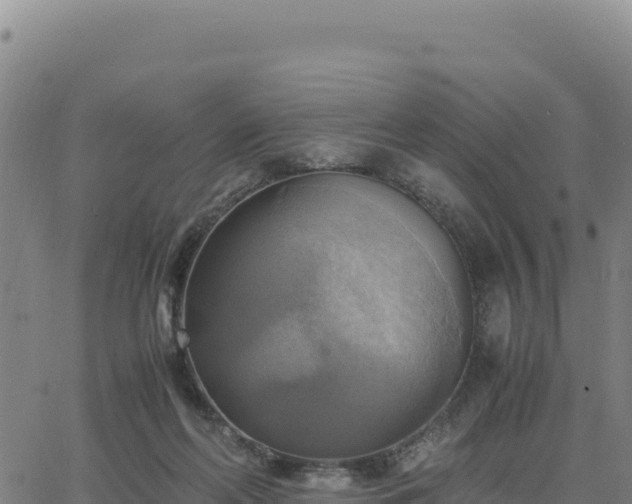 X0000063470214200601271638