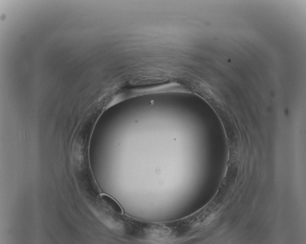 X0000063470215200601271638