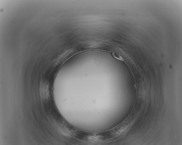 X0000063470216200601271638