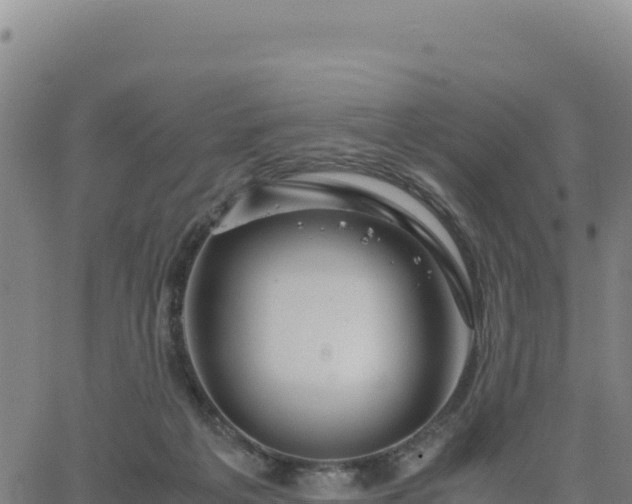 X0000063470217200601271638