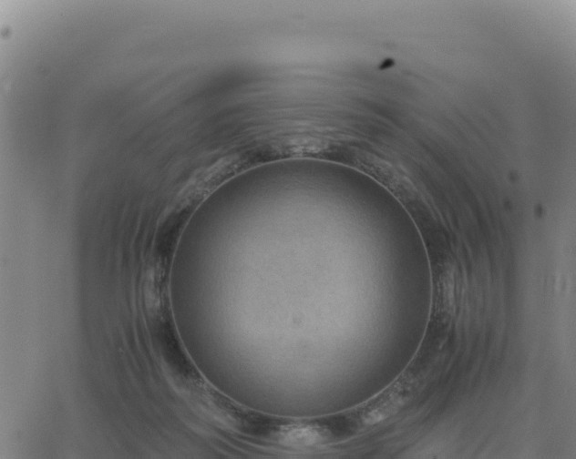 X0000063470218200601271638