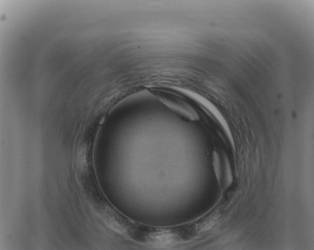 X0000063470219200601271638