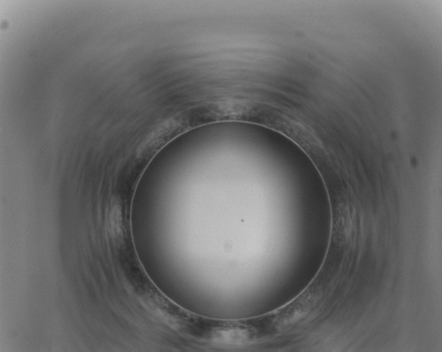 X0000063470220200601271638