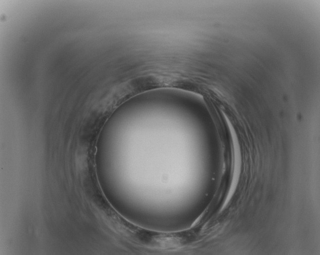 X0000063470221200601271638