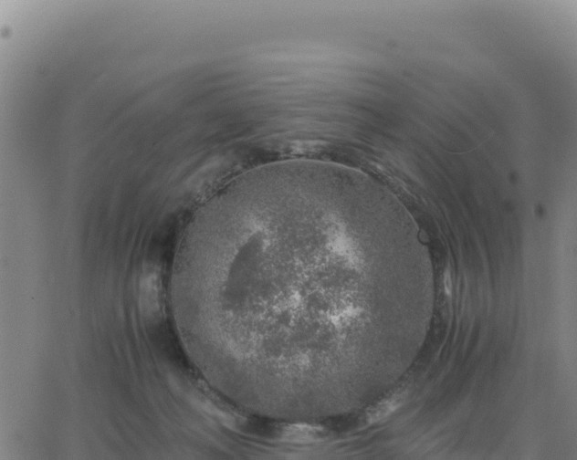 X0000063470222200601271638