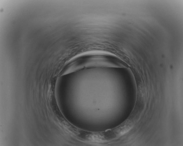 X0000063470223200601271637