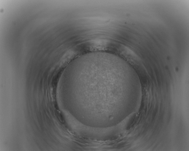 X0000063470224200601271637