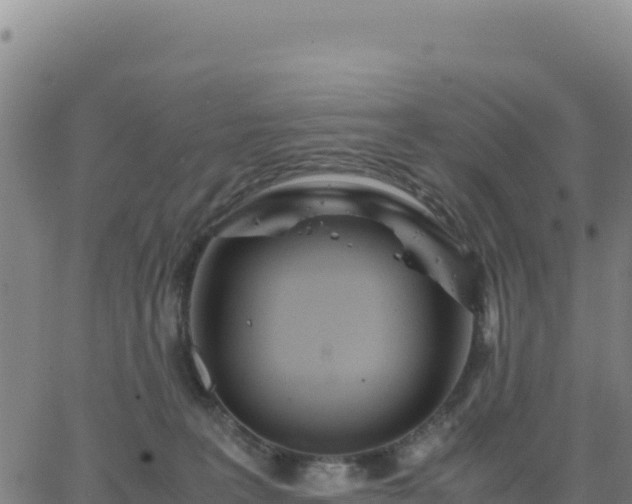 X0000063470227200601271637