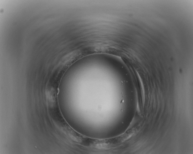 X0000063470228200601271637