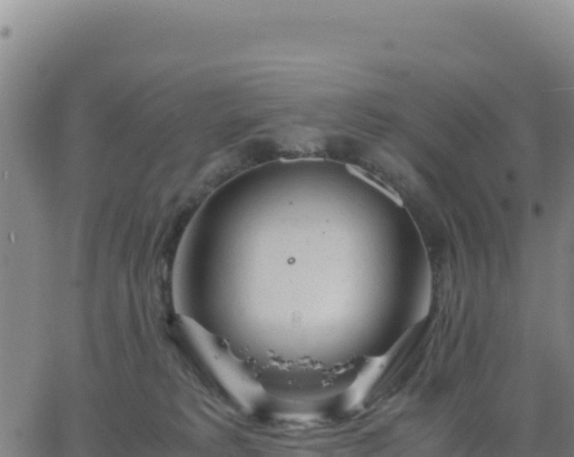 X0000063470229200601271637