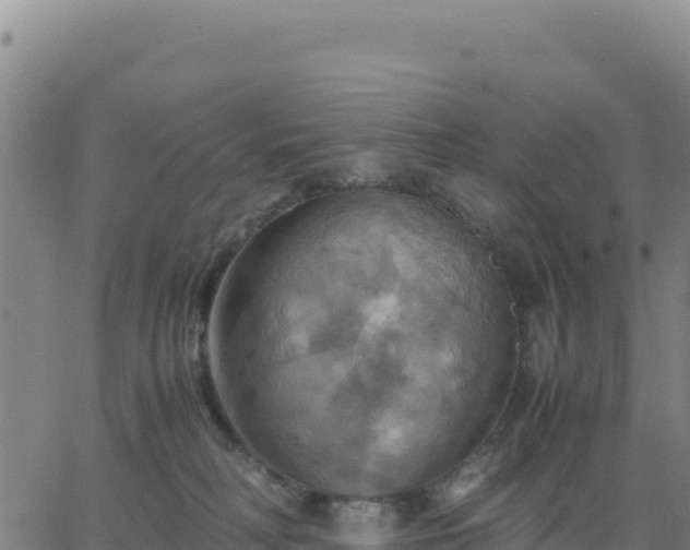 X0000063470230200601271637